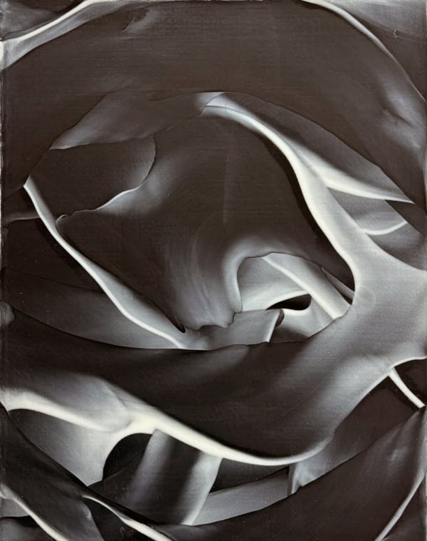 William Wood Untitled, 2000 - 2004 Oil and wax on primed paper 14 x 11 in. 35.6 x 27.9 cm.