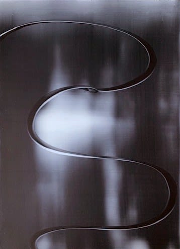 William Wood Untitled, 2000 - 2004 Oil and wax on primed paper 14 x 11 in. 35.6 x 27.9 cm.