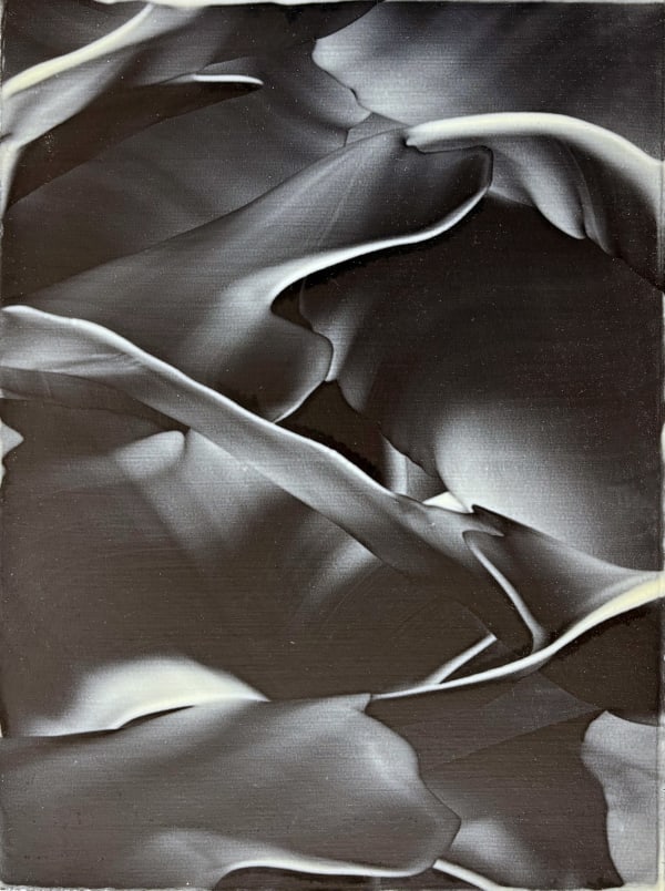 William Wood Untitled, 2000 - 2004 Oil and wax on primed paper 14 x 11 in. 35.6 x 27.9 cm.