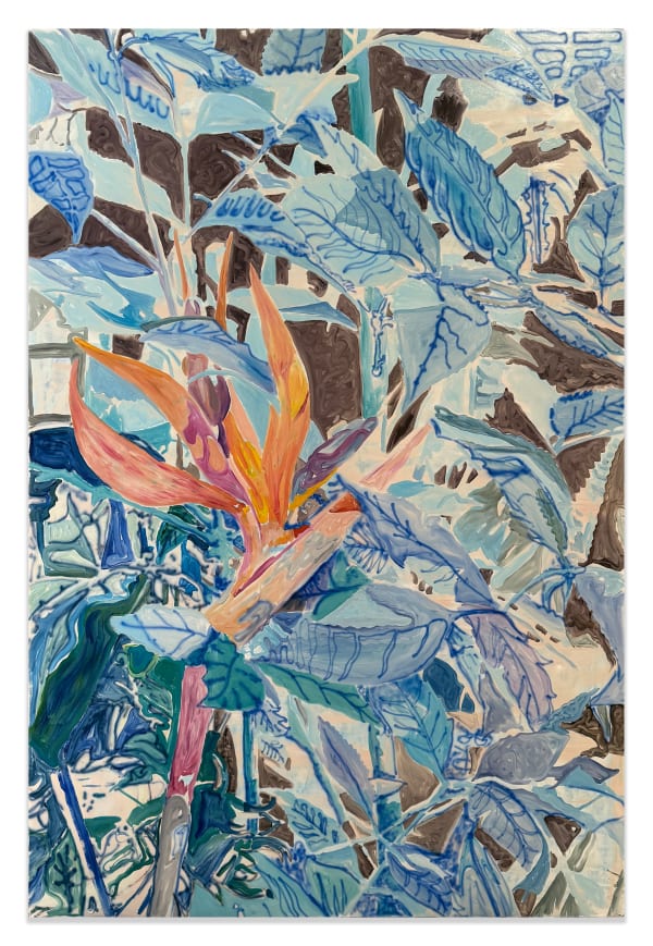 ZMD, Aethers Forest , 2025