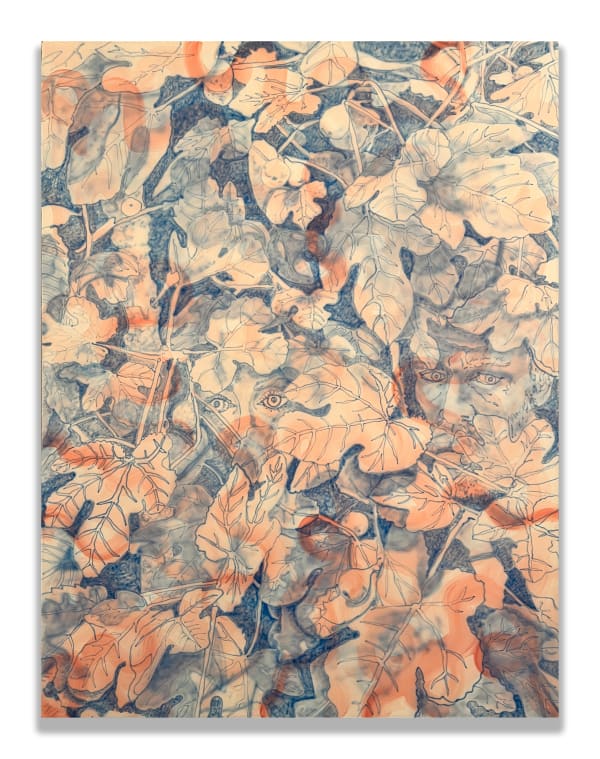 ZMD, Figs Forever , 2024