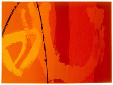 Neil Canning, Fusion V, 2003