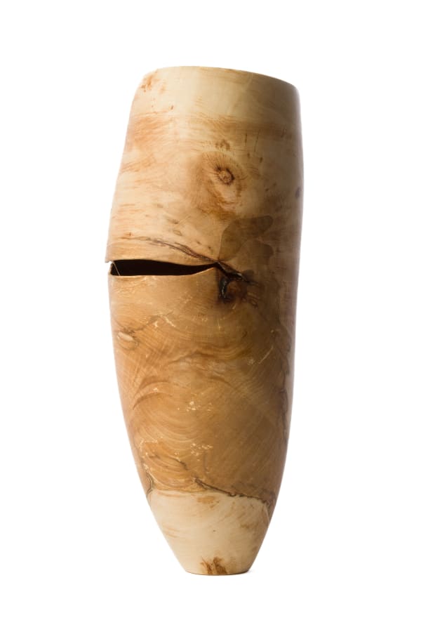 Anthony Bryant, Beech Vessel I, 2025