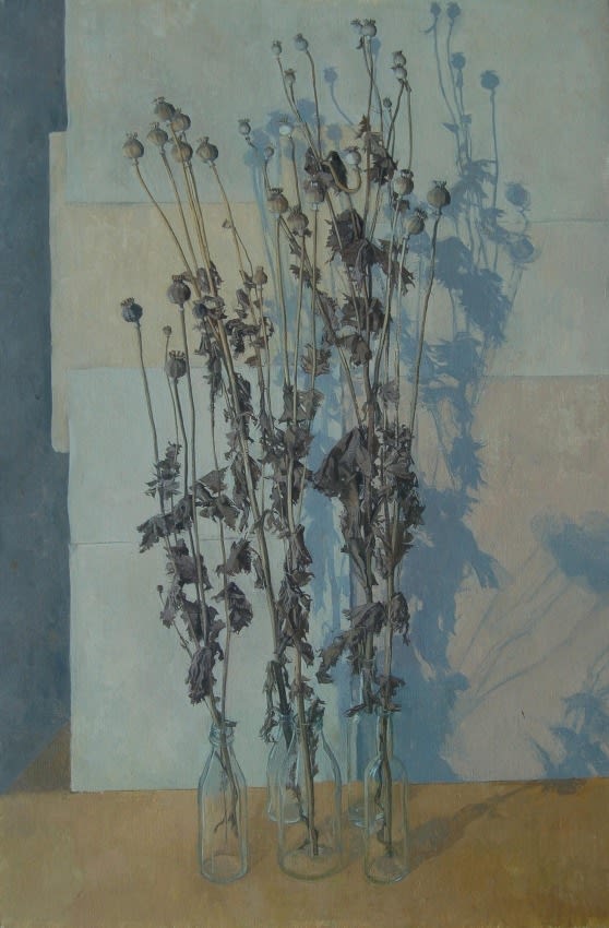 Caroline Frood, Poppy Seedheads