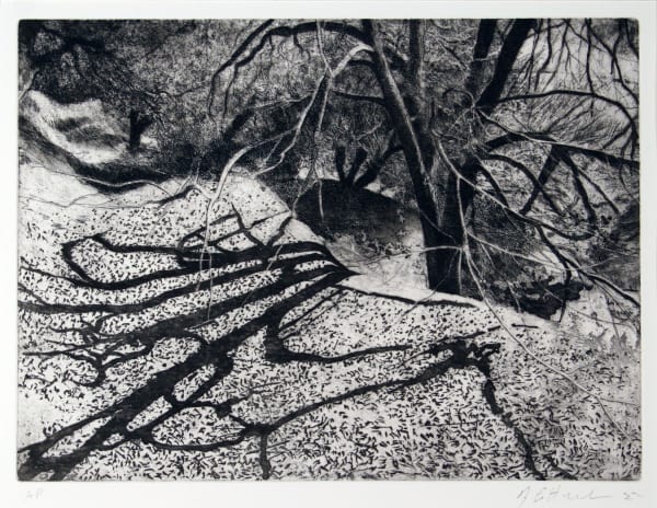 James Crittenden, Under the Chestnut in Winter, Spain