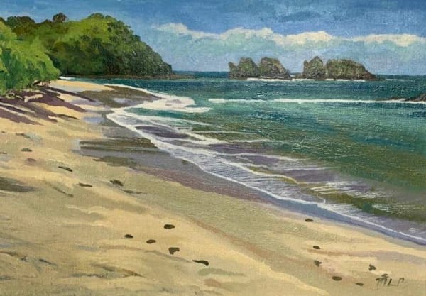 Melvyn Petterson, Costa Rica