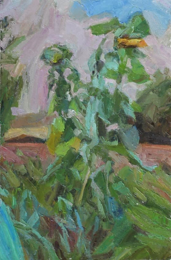 Andrew James, Sunflowers