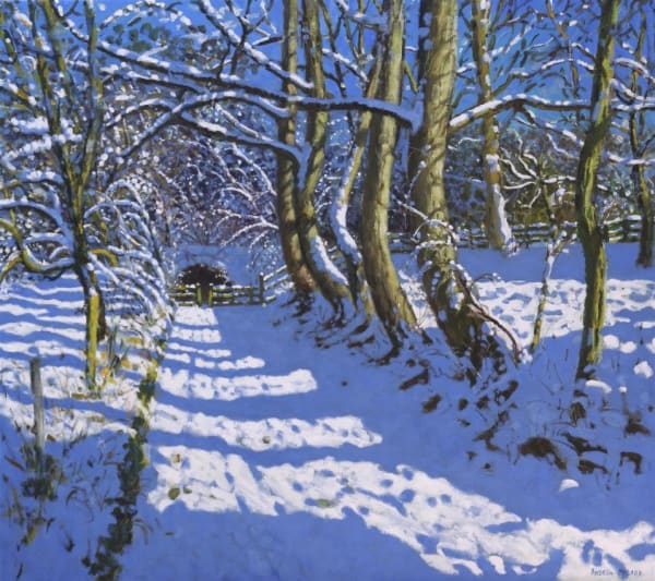 Andrew Macara, The Tunnel, Calke Abbey, Ticknall, Derby
