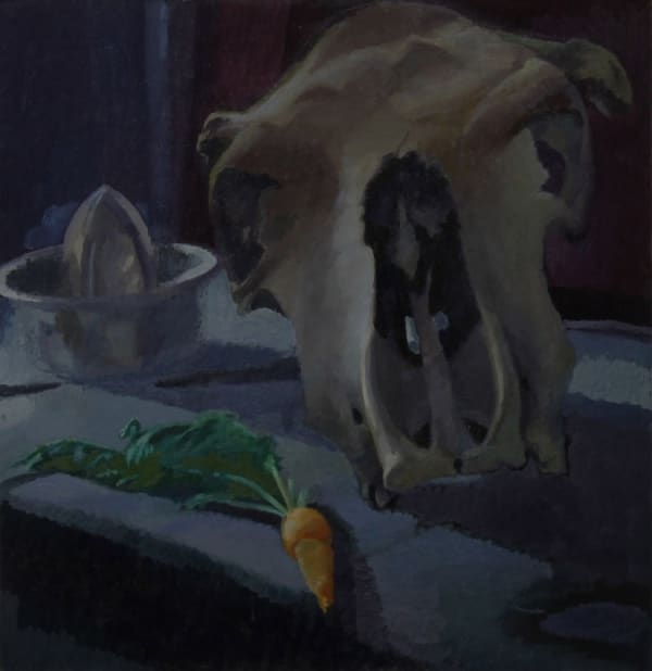 David Parfitt, Still Life with Cow Skull