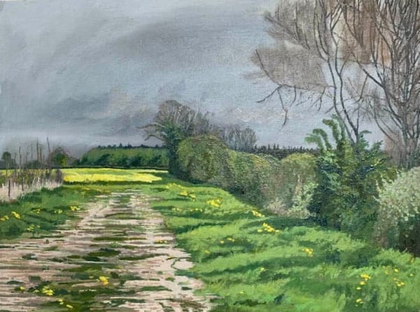 Melvyn Petterson, Rape Field and Dandelions