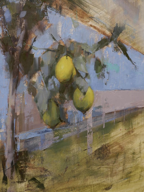 Bran Sivas, The Lemon Fence by Goose Pond