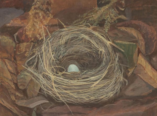 Tessa Bath, The Blackbird's Nest