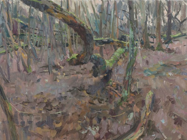 Tom Benjamin, Fallen Tree, South Downs