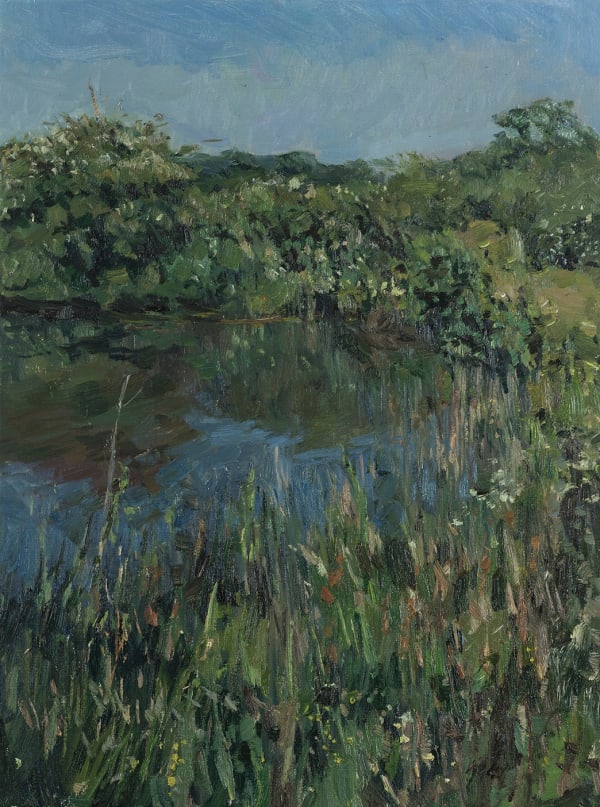 Tom Benjamin, Spring Fed Pond 2