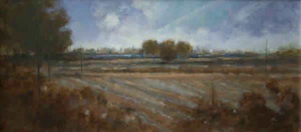 Judith Gardner, Fields in Spring Light Late Afternoon
