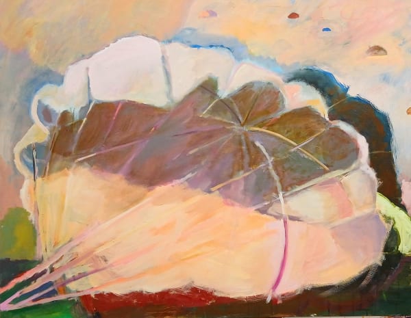 Diana Charnley, Grounded