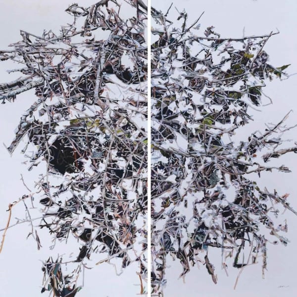 Patricia Paolozzi Cain, Thicket II