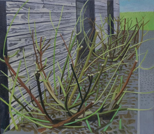 Kate Wilson, Sap Rising