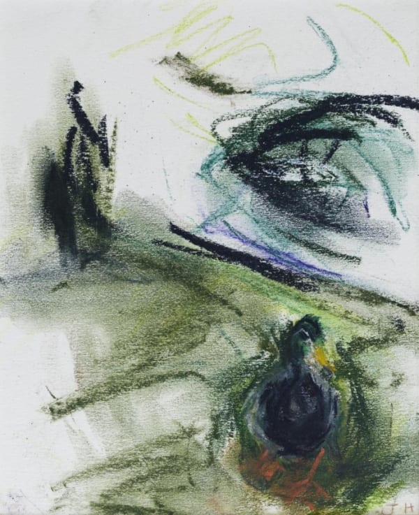 Julie Held, Ducks