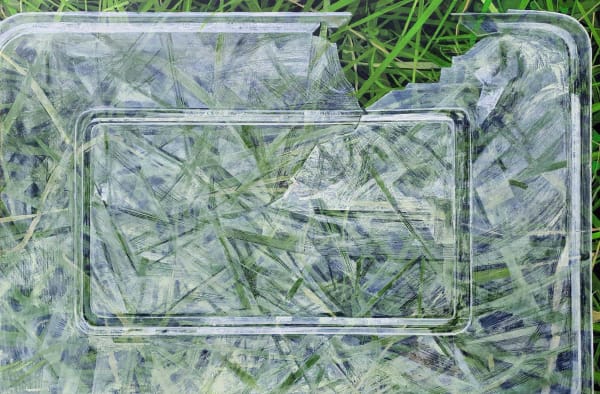 Kate Wilson, Compressed