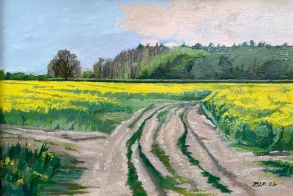 Melvyn Petterson, Yellow Lincolnshire