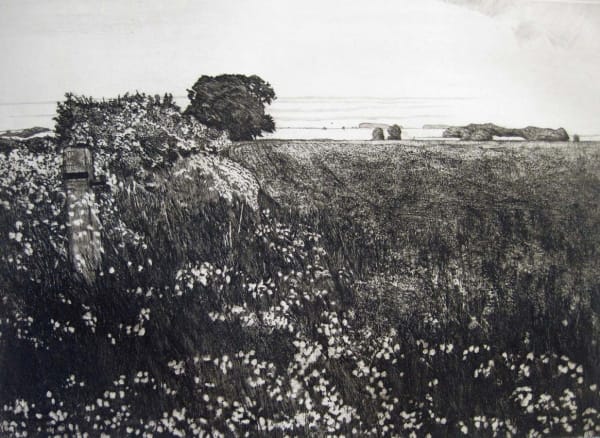 Melvyn Petterson, Corner of a Rapeseed Field