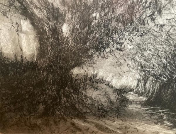 Lucinda Stephens, Dark Woods to Light