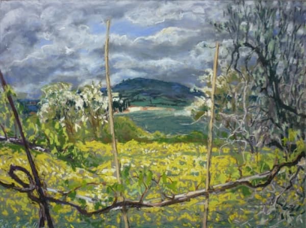 Patrick Cullen, Mustard Field and Vine, Tuscany