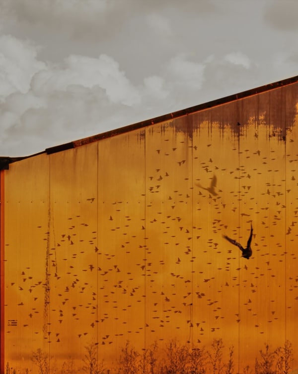 Lotte Ekkel, Amsterdam Fragments #4, 2024