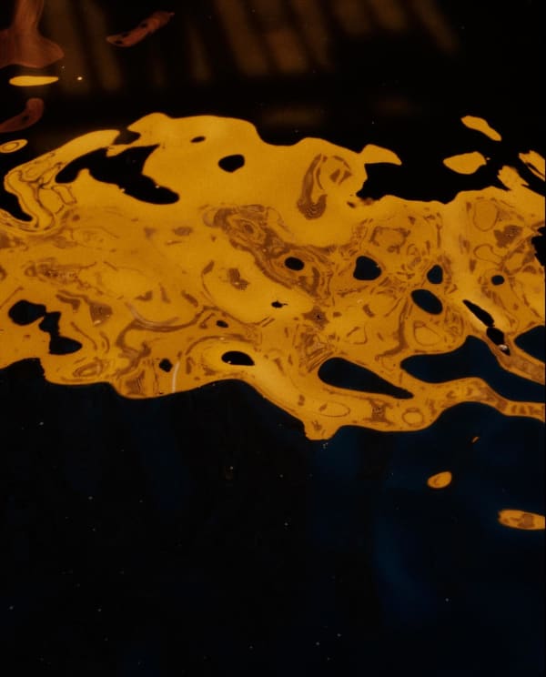 Lotte Ekkel, Amsterdam Fragments #3, 2024