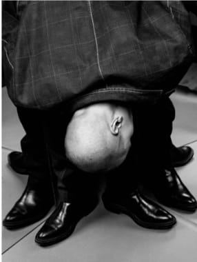 Nanda Hagenaars, Change Perception, 2025