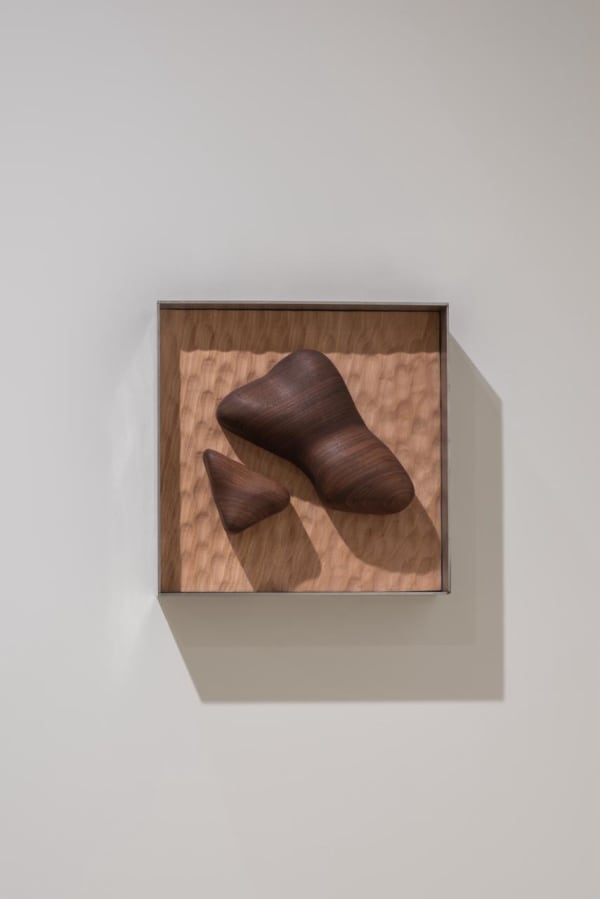 Camille De Prêtre, Echo no. 13, 2025