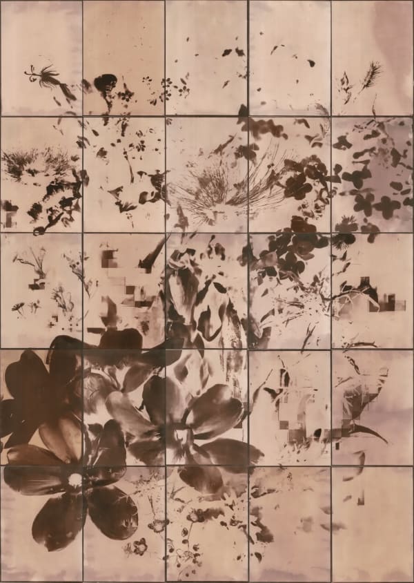 Sofia Crespo and Anna Ridler, 83 seeds from a vanishing mountain, 2023