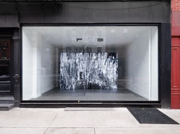 Leander Herzog, Infinite Garden, 2025