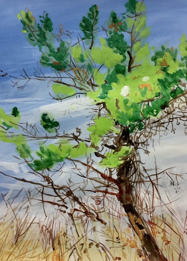 Claire McConaughy, Tree Studies #2, 2019