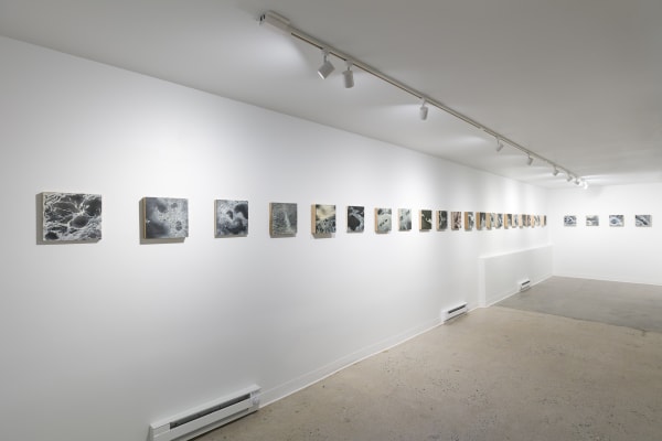 Lanny DeVuono, Small Search for Water on Mars , 2020 - 2023