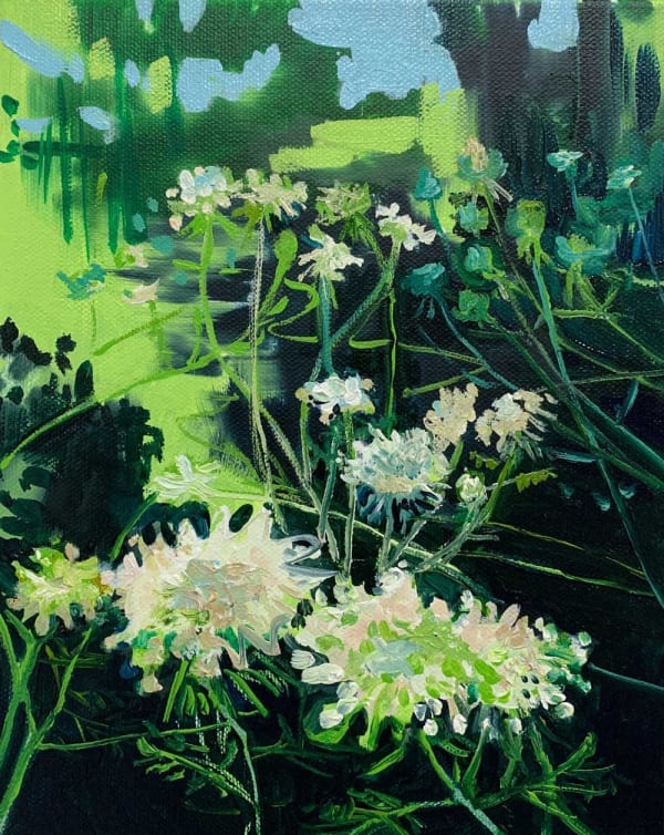 Claire McConaughy, Queen Anne's Lace Study, 2023