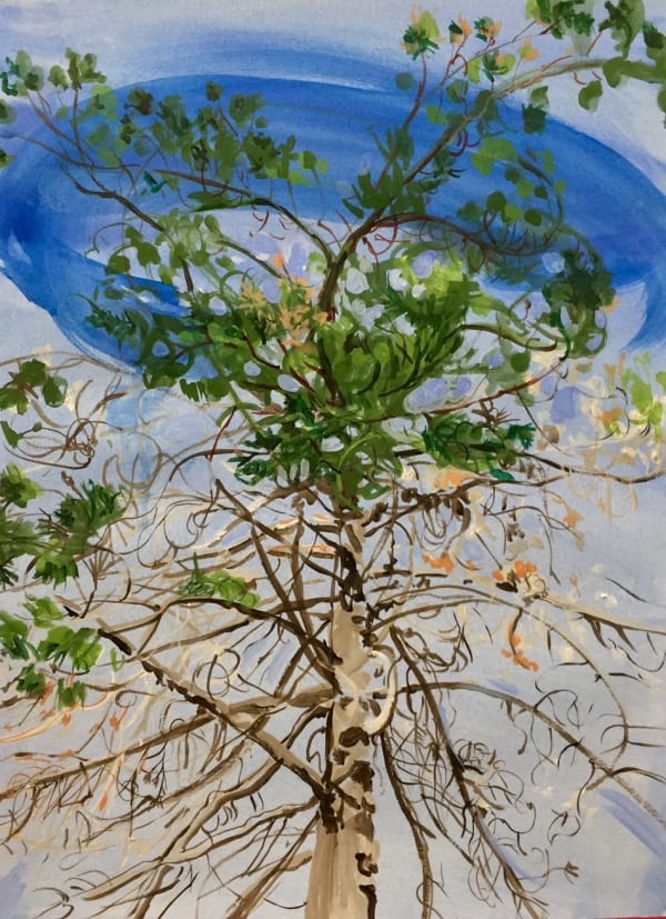 Claire McConaughy, Tree Studies #3, 2019