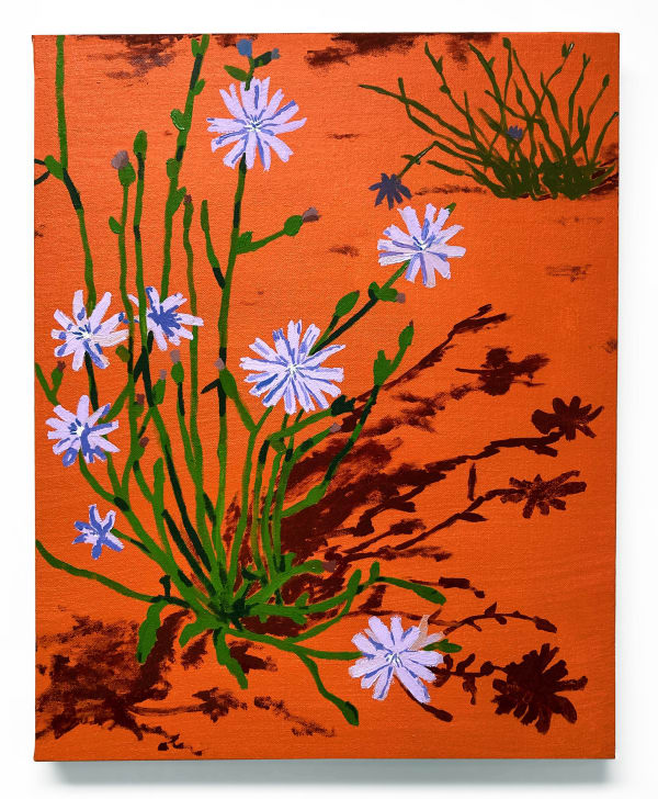 Lisa Rock, Chicory at Sibley Volcanic Preserve, 2023
