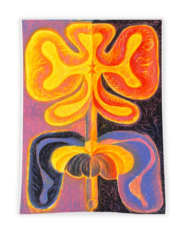 Anaïs Maar, Twilight Flower, 2025
