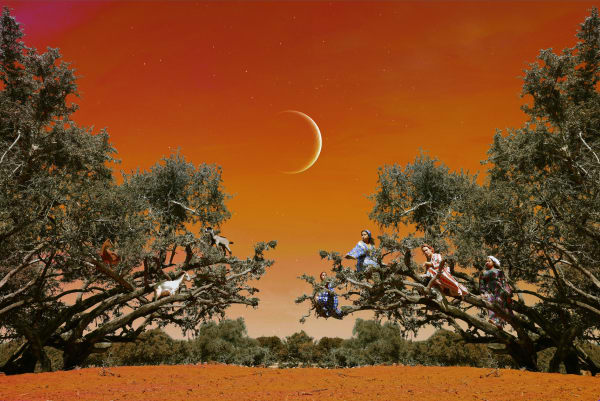 Sara Benabdallah, Sacred Tree (Small Format), 2024