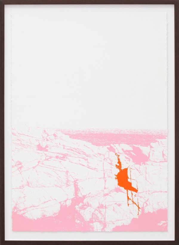 Mads Gamdrup Organisches Detail und Lärm, 2012 Silk Screen