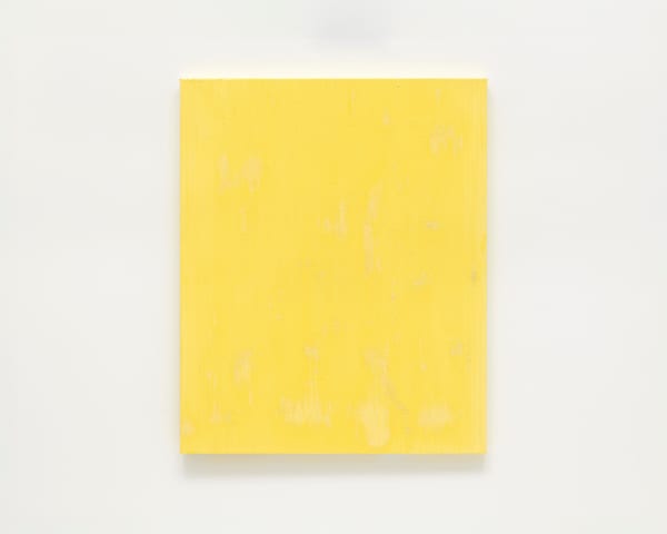 Mads Gamdrup Primary yellow and Titan, 2024 Pigment and linseed oil on canvas 110 x 90 cm 43.31 x 35.43 in