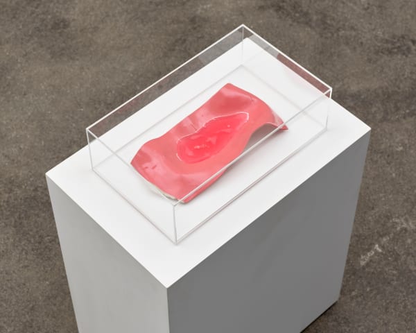 Tove Storch Untitled, 2022 A certificate of authenticity signed by the artist must follow the work Porcelain, soap and plexiglass 11.5 x 37.5 x 23.5 cm 4.53 x 14.76 x 9.25 in