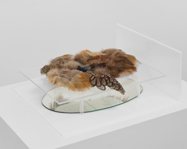 Charlotte Brüel Vertical View, 2020 Acrylic glass, acrylic glass tubes, opal acrylic, pheasant feathers, copy of work journal from 1967, mirror