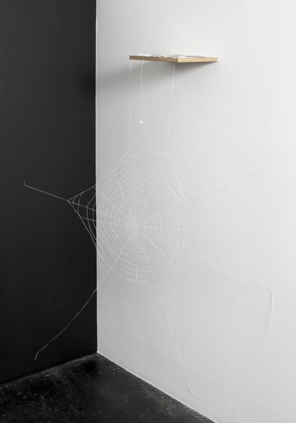 Peter Callesen Expanded Notion, 2005 Paper