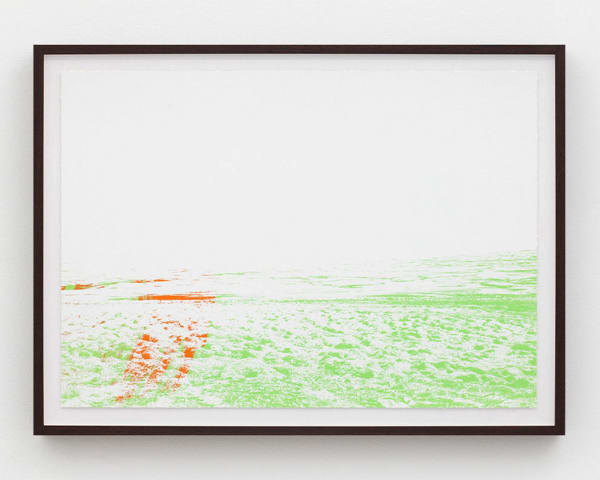 Mads Gamdrup Organisches Detail und Lärm, 2012 Silk Screen on paper