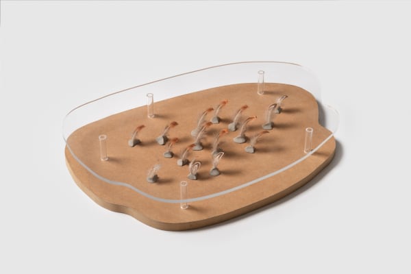 Charlotte Brüel Haiku Object Army of downs on clay feet, 2012-2015 Acrylic glass, pheasant downs, unfired blue clay, mdf plate