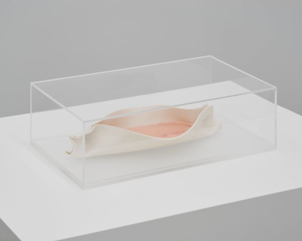Tove Storch Untitled, 2022 Porcelain, soap and plexiplass