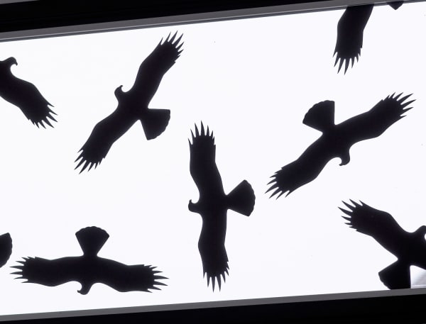 Ceal Floyer Warning Birds, 2002-2022 Self-adhesive 'warning birds' on window